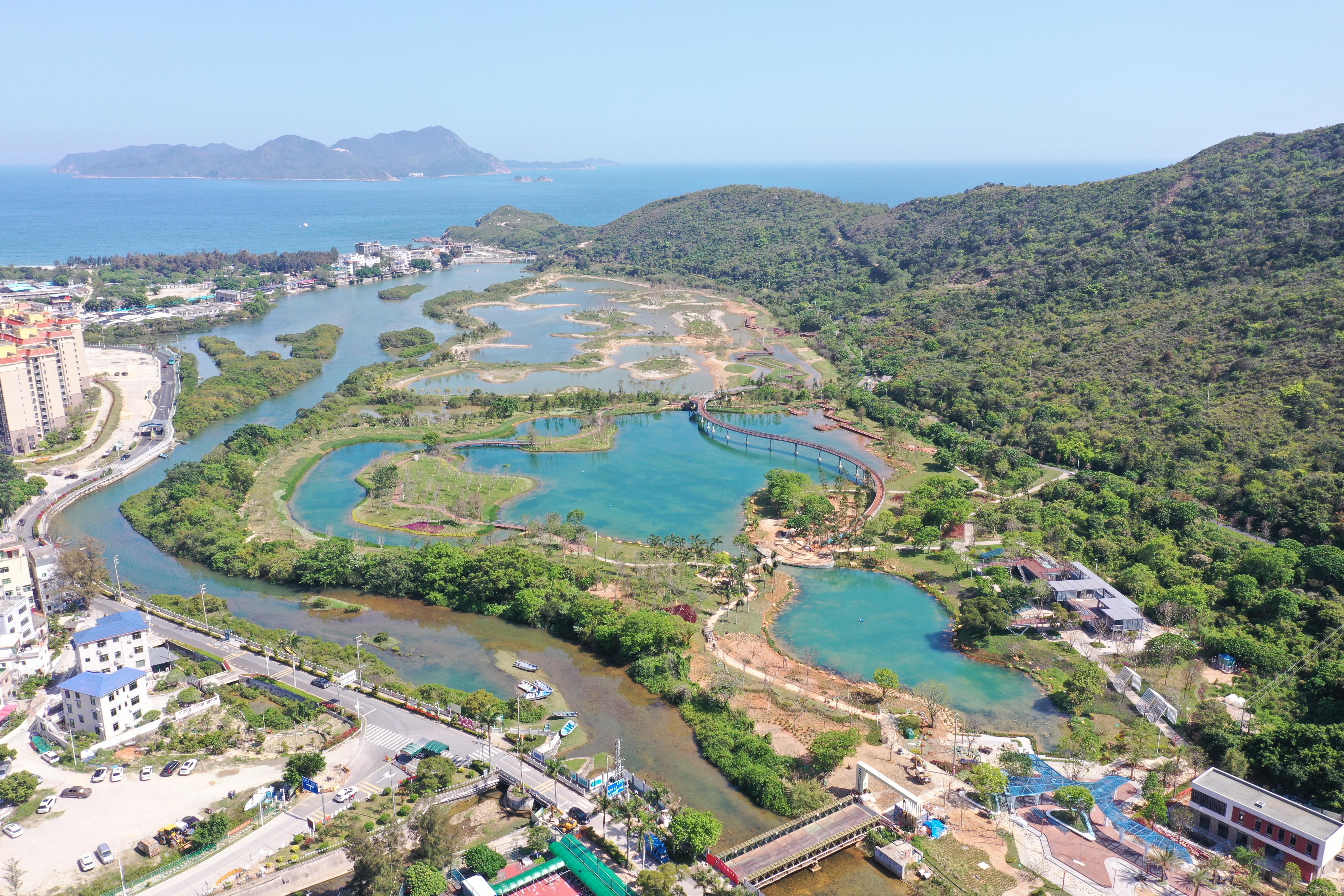 东涌红树林湿地公园(1).jpg